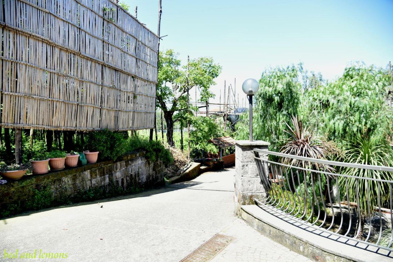 Bed And Lemons Bed & Breakfast Piano di Sorrento Exterior photo