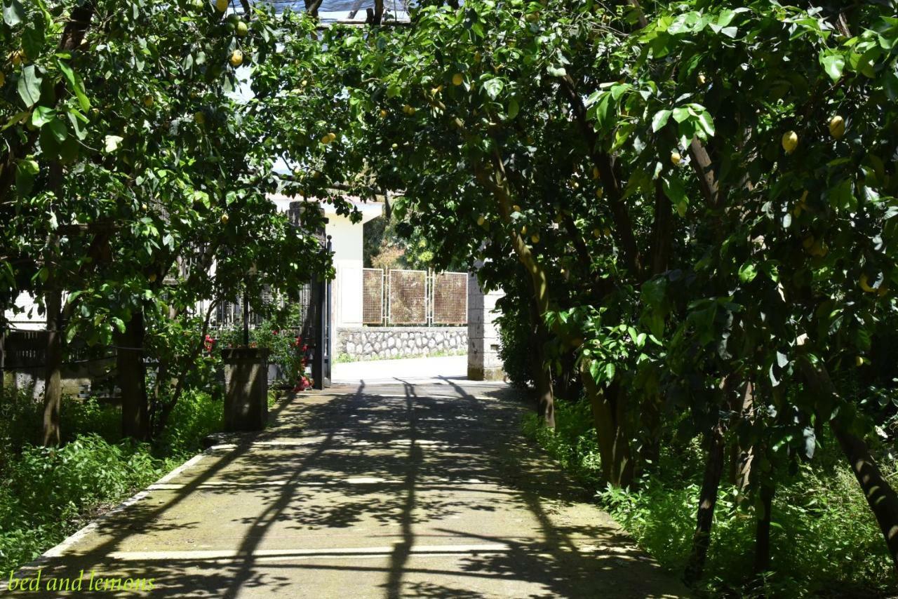 Bed And Lemons Bed & Breakfast Piano di Sorrento Exterior photo